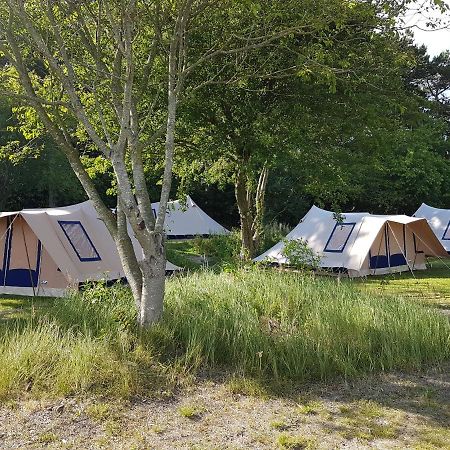 Ameland Tentenverhuur 内斯 外观 照片
