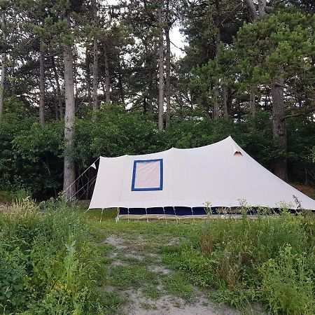Ameland Tentenverhuur 内斯 外观 照片