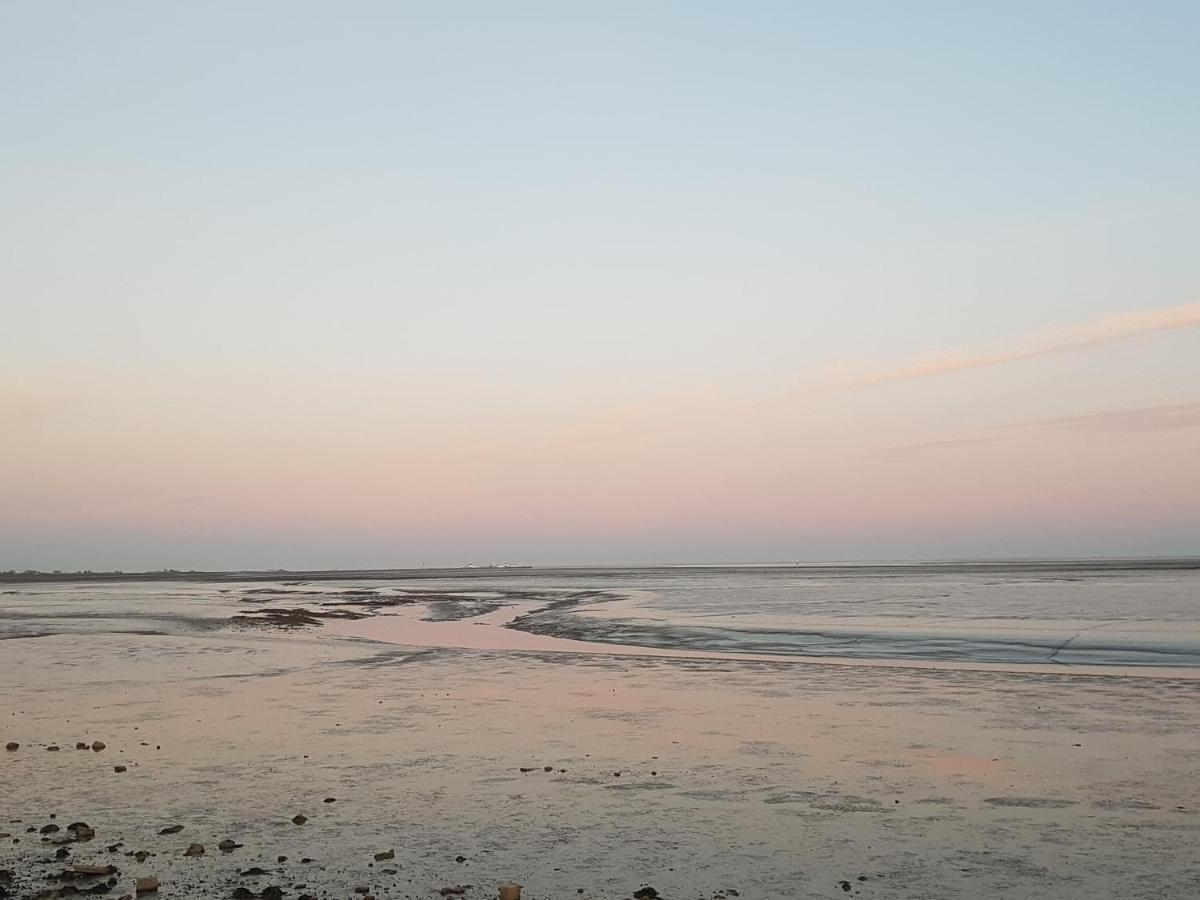 Ameland Tentenverhuur 内斯 外观 照片