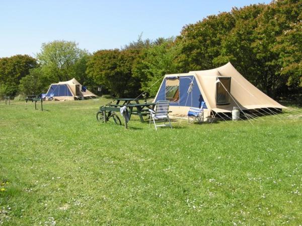 Ameland Tentenverhuur 内斯 外观 照片