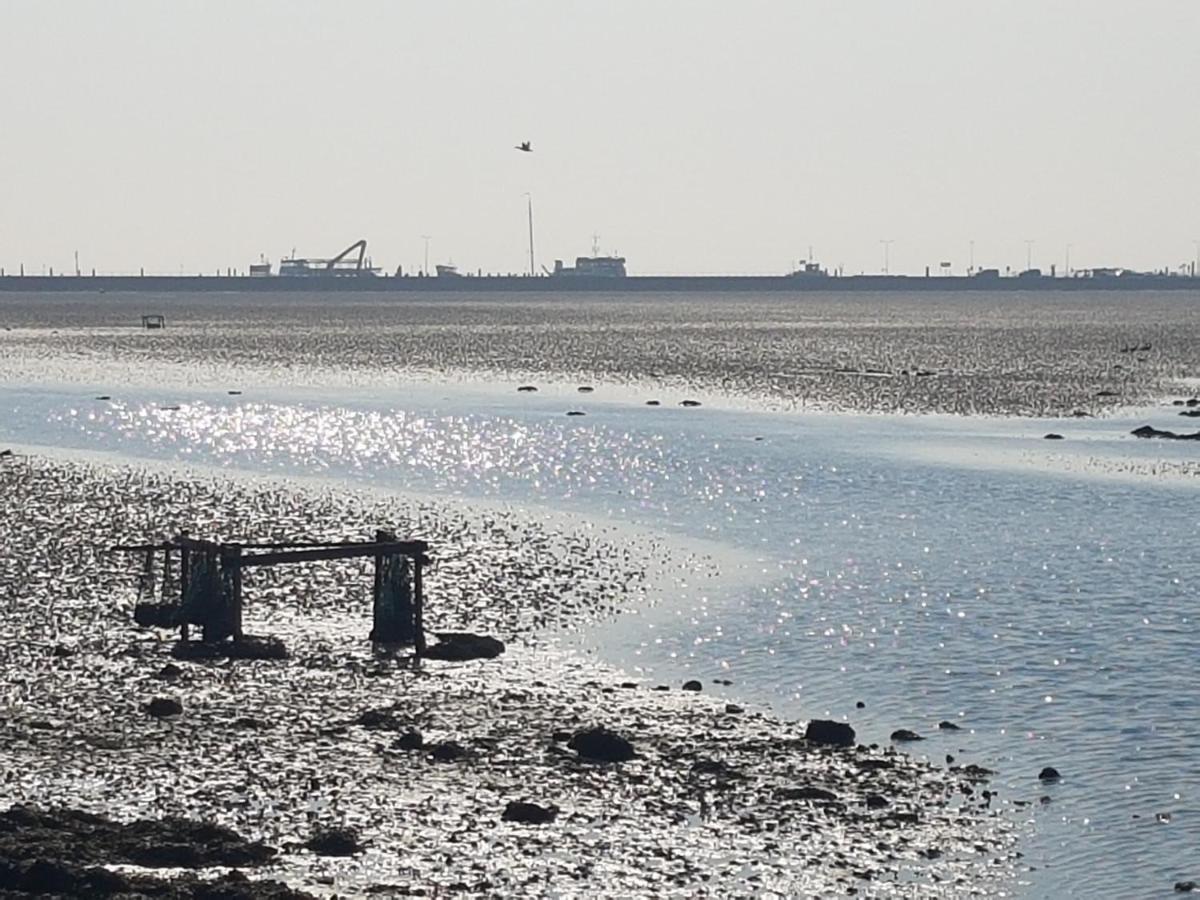 Ameland Tentenverhuur 内斯 外观 照片