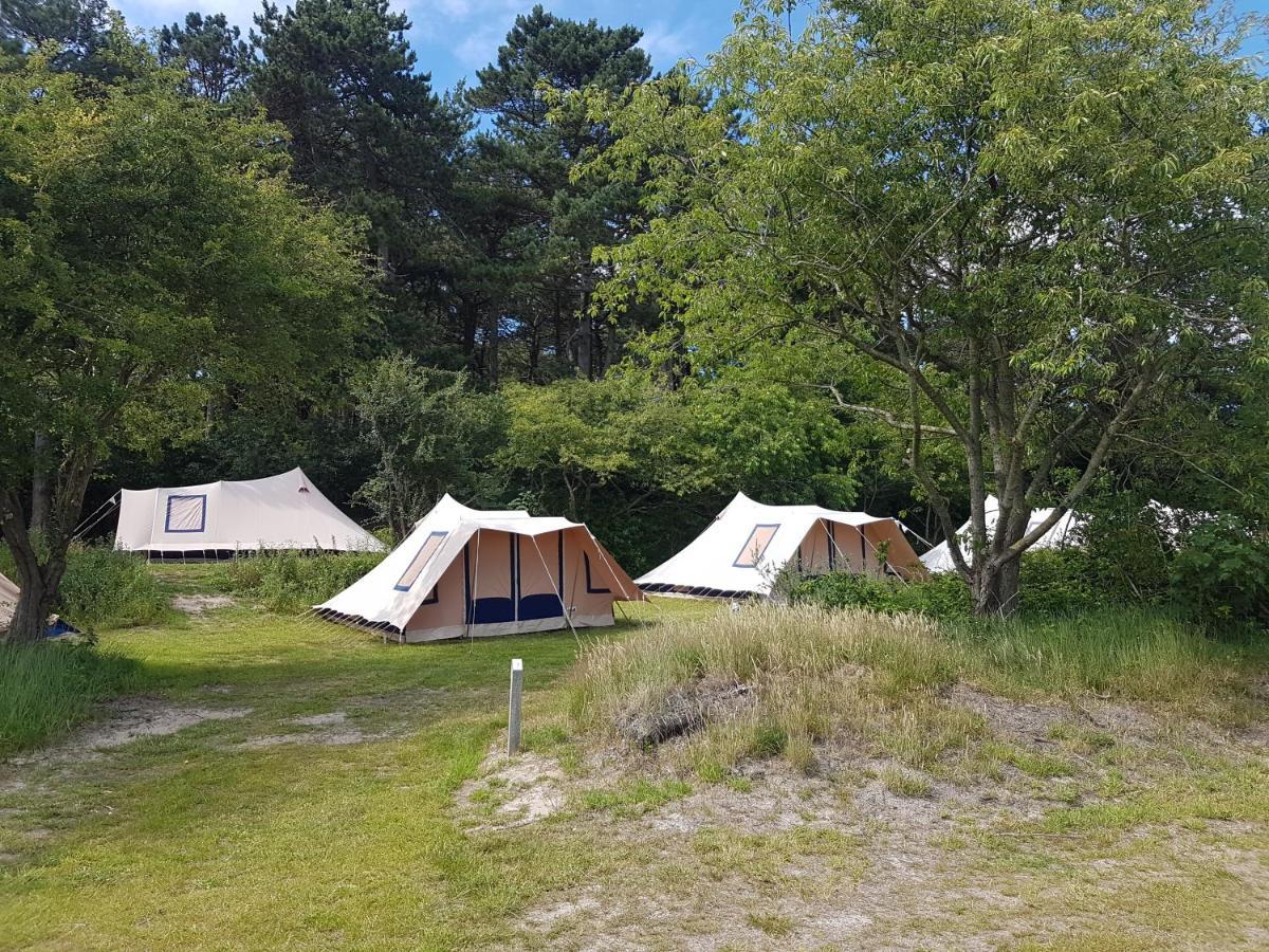 Ameland Tentenverhuur 内斯 外观 照片