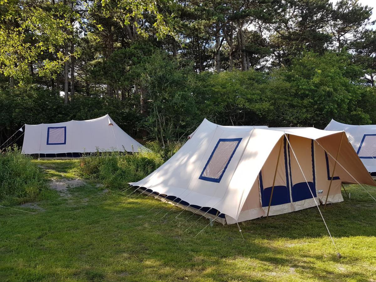Ameland Tentenverhuur 内斯 外观 照片