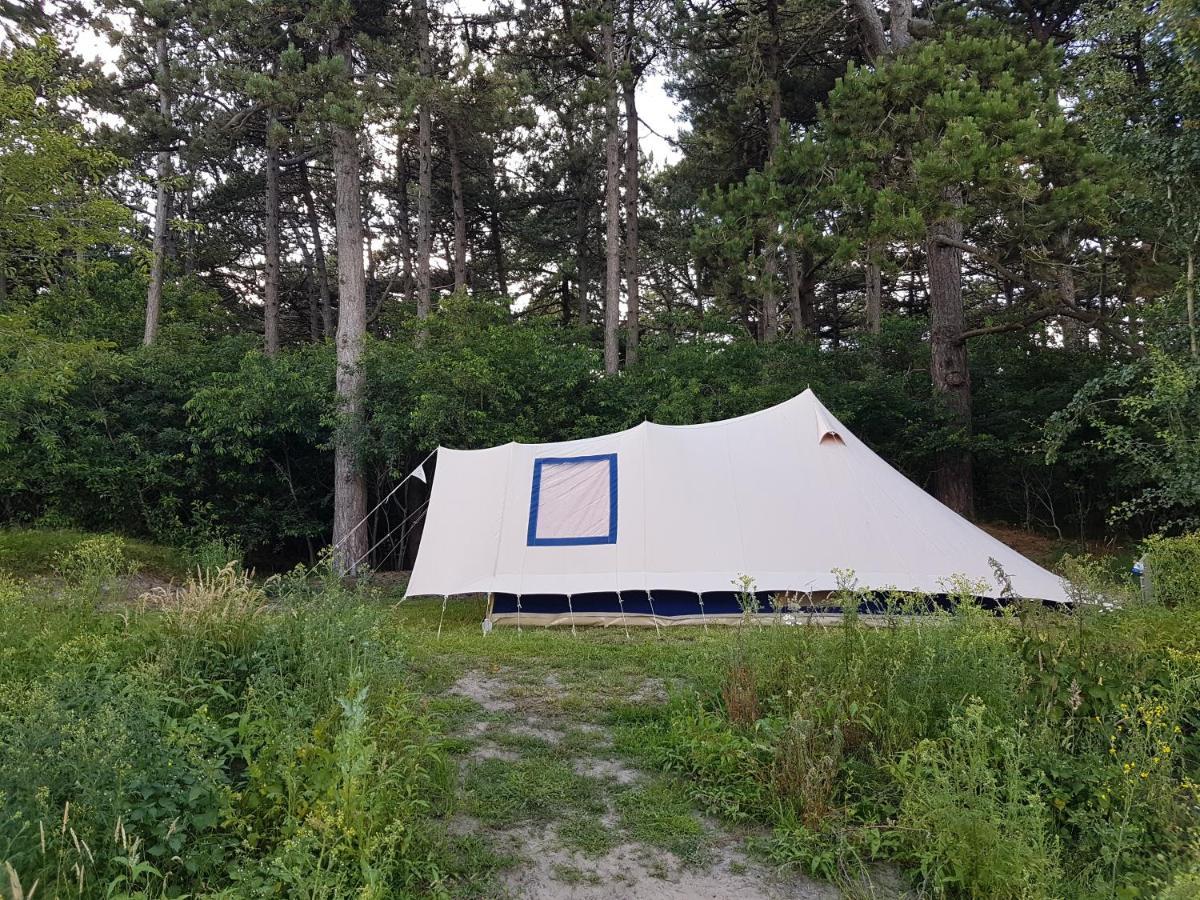 Ameland Tentenverhuur 内斯 外观 照片