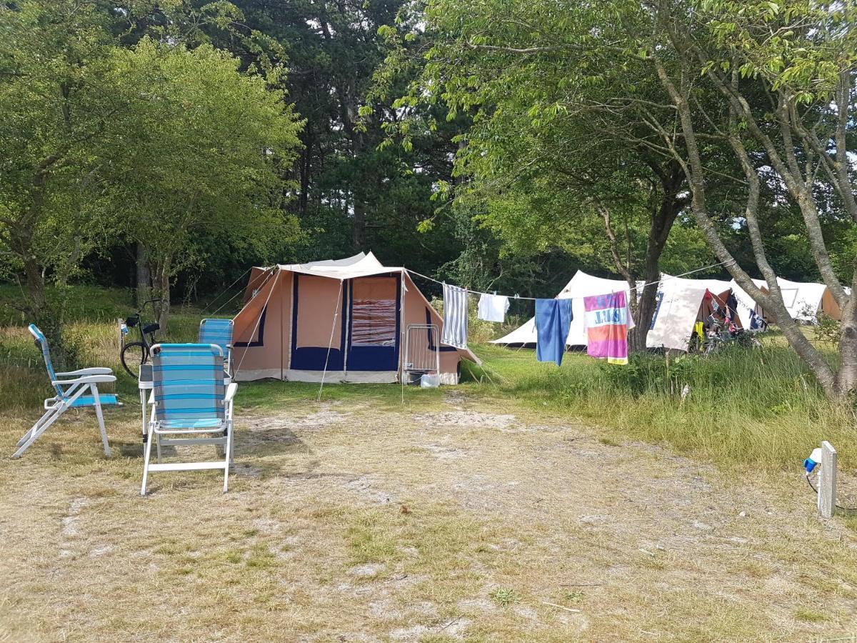 Ameland Tentenverhuur 内斯 外观 照片